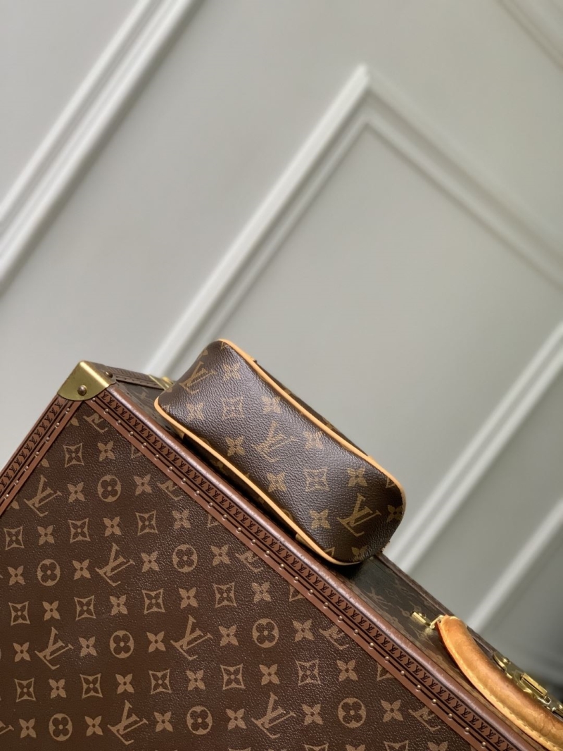 LV Satchel bags